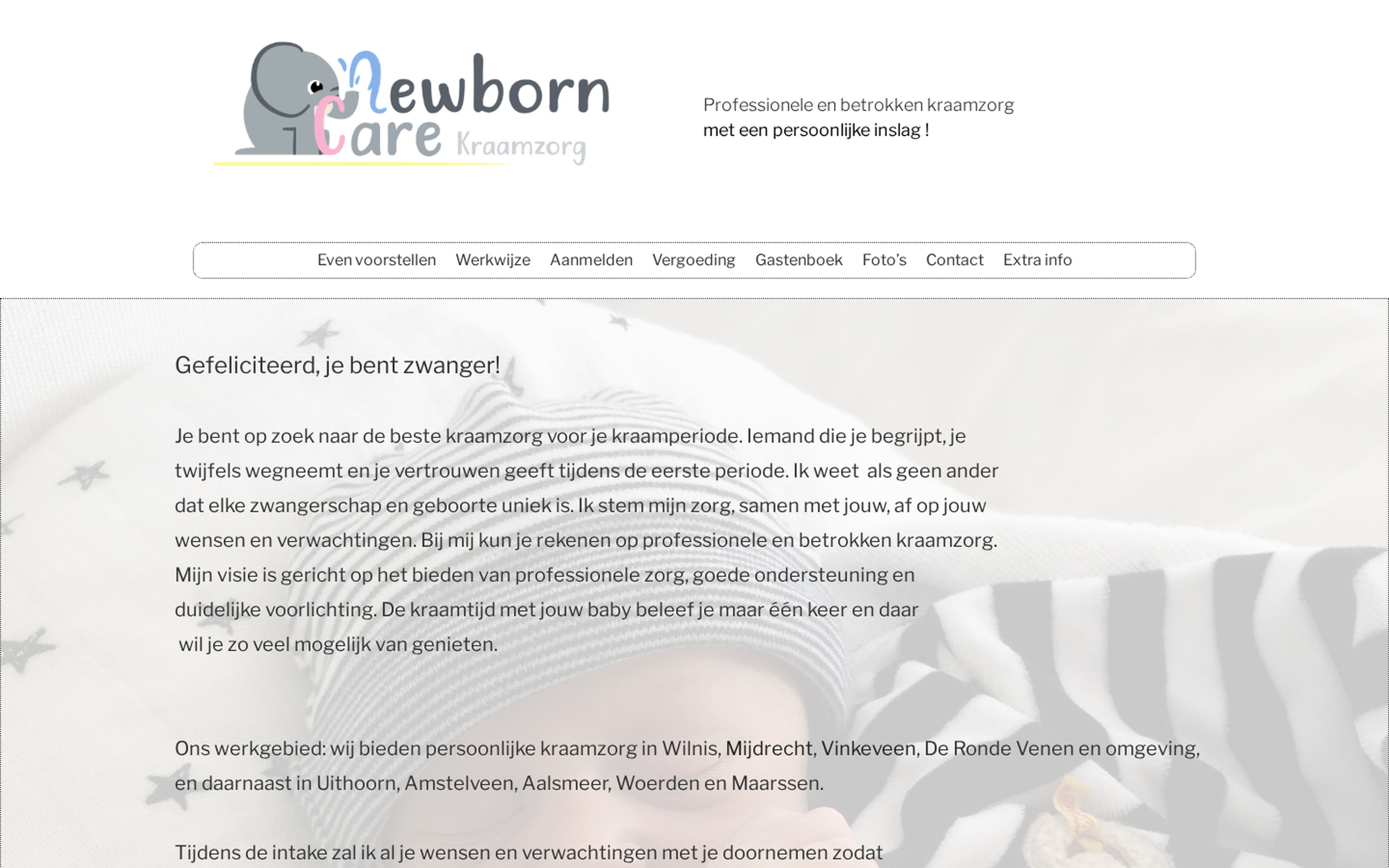 Website screenshot van Newborn Care Kraamzorg (newborncare.nl) — SEO voor kraamzorg in De Ronde Venen. Diensten: SEO.